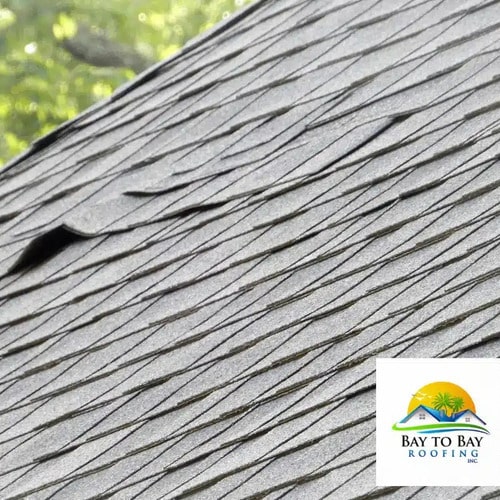 Roof in need of repair